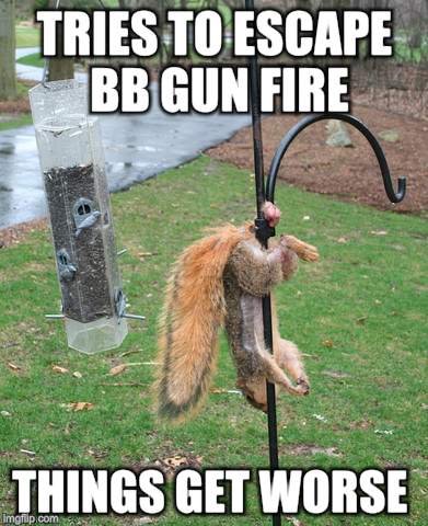 TRIES TO ESCAPE BB GUN FIRE THINGS GET WORSE | made w/ Imgflip meme maker