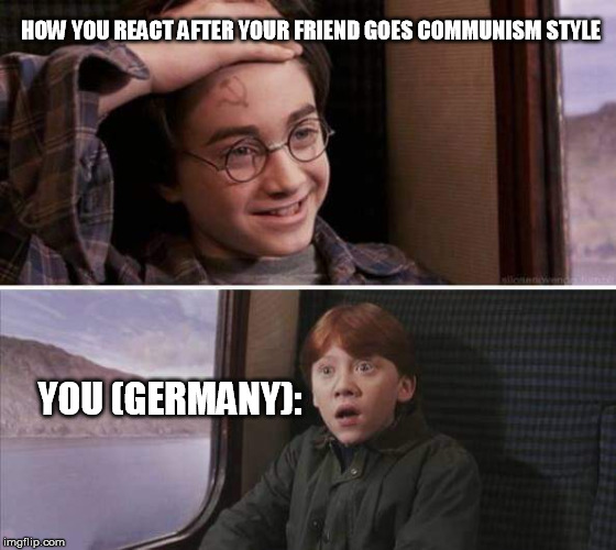 communism will sin Harry Potter | HOW YOU REACT AFTER YOUR FRIEND GOES COMMUNISM STYLE; YOU (GERMANY): | image tagged in communism will sin harry potter | made w/ Imgflip meme maker