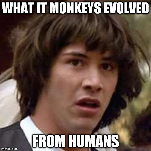 Keanuism | WHAT IT MONKEYS EVOLVED; FROM HUMANS | image tagged in memes,conspiracy keanu | made w/ Imgflip meme maker