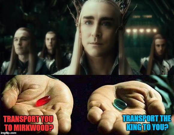 Down the rabbit hole! | TRANSPORT THE KING TO YOU? TRANSPORT YOU TO MIRKWOOD? | image tagged in thranduil meme,thranduil red pill blue pill | made w/ Imgflip meme maker
