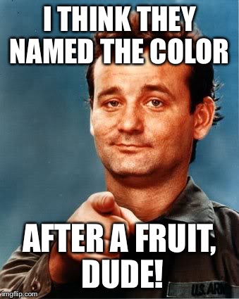 I THINK THEY NAMED THE COLOR AFTER A FRUIT, DUDE! | made w/ Imgflip meme maker