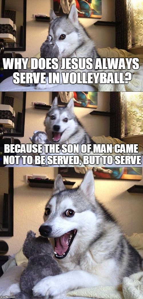 Bad Pun Dog | WHY DOES JESUS ALWAYS SERVE IN VOLLEYBALL? BECAUSE THE SON OF MAN CAME NOT TO BE SERVED, BUT TO SERVE | image tagged in memes,bad pun dog | made w/ Imgflip meme maker