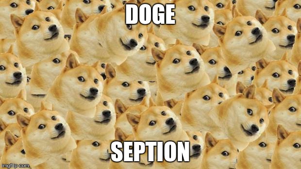 Multi Doge | DOGE; SEPTION | image tagged in memes,multi doge | made w/ Imgflip meme maker