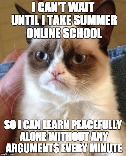 Grumpy Cat | I CAN'T WAIT UNTIL I TAKE SUMMER ONLINE SCHOOL; SO I CAN LEARN PEACEFULLY ALONE WITHOUT ANY ARGUMENTS EVERY MINUTE | image tagged in memes,grumpy cat | made w/ Imgflip meme maker