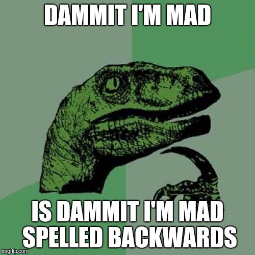 Back And Forth | DAMMIT I'M MAD; IS DAMMIT I'M MAD SPELLED BACKWARDS | image tagged in memes,philosoraptor | made w/ Imgflip meme maker