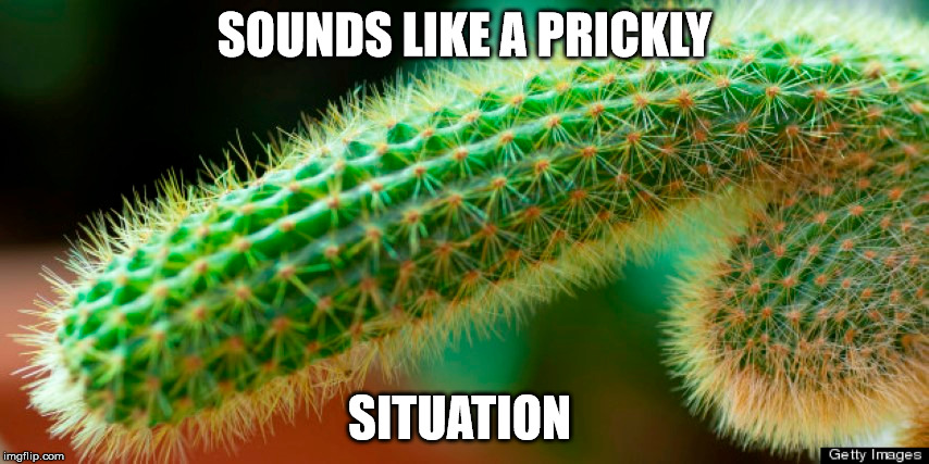 SOUNDS LIKE A PRICKLY SITUATION | made w/ Imgflip meme maker