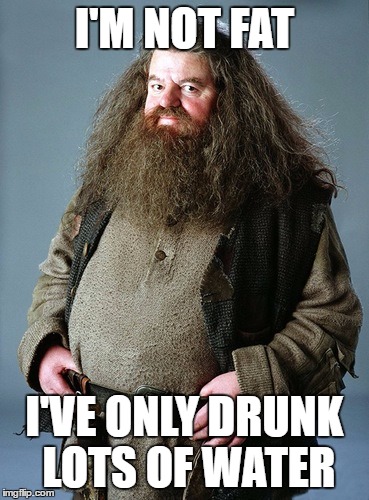 I'M NOT FAT; I'VE ONLY DRUNK LOTS OF WATER | image tagged in fat man | made w/ Imgflip meme maker