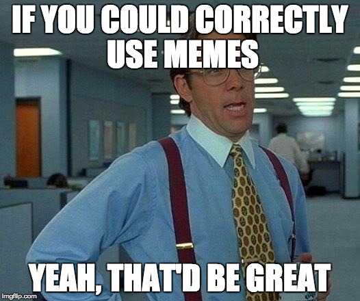That Would Be Great | IF YOU COULD CORRECTLY USE MEMES; YEAH, THAT'D BE GREAT | image tagged in memes,that would be great | made w/ Imgflip meme maker