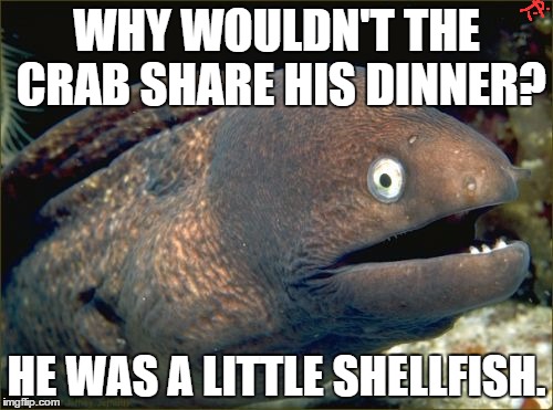 crab joke |  WHY WOULDN'T THE CRAB SHARE HIS DINNER? HE WAS A LITTLE SHELLFISH. | image tagged in memes,bad joke eel,funny meme,funny,animal | made w/ Imgflip meme maker