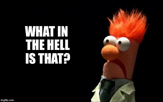 Beaker shocked face | WHAT IN THE HELL IS THAT? | image tagged in beaker shocked face | made w/ Imgflip meme maker