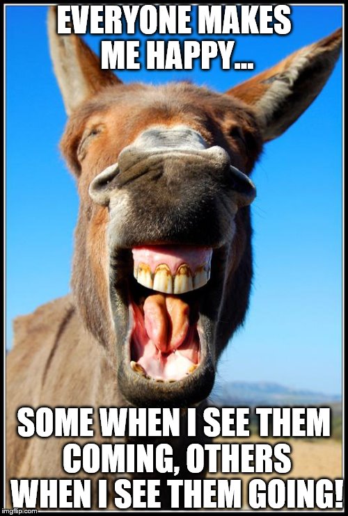 Happy Donkey | EVERYONE MAKES ME HAPPY... SOME WHEN I SEE THEM COMING, OTHERS WHEN I SEE THEM GOING! | image tagged in happy donkey | made w/ Imgflip meme maker