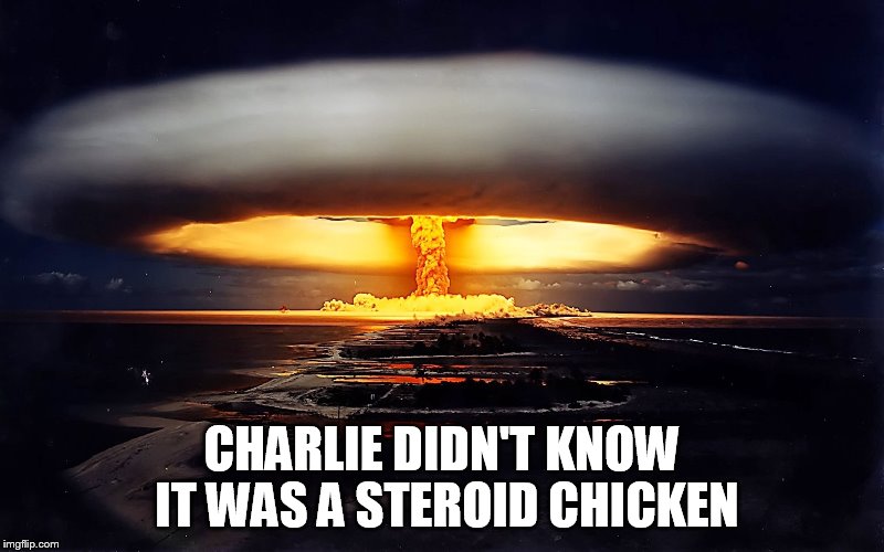Grammar Nuke | CHARLIE DIDN'T KNOW IT WAS A STEROID CHICKEN | image tagged in grammar nuke | made w/ Imgflip meme maker