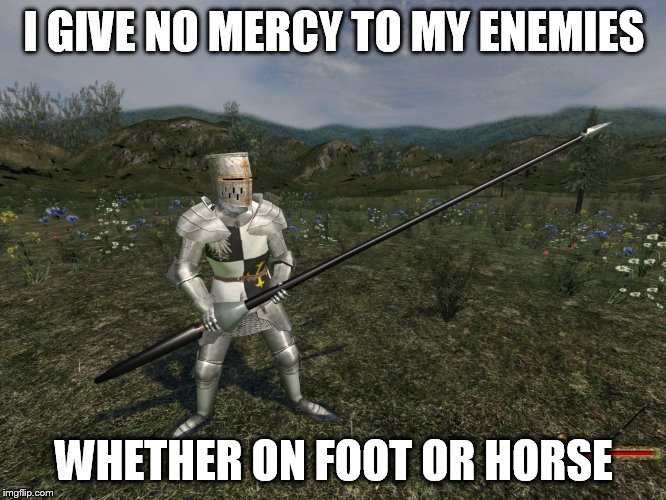 Sir Lance a lot. | I GIVE NO MERCY TO MY ENEMIES WHETHER ON FOOT OR HORSE | image tagged in sir lance a lot | made w/ Imgflip meme maker