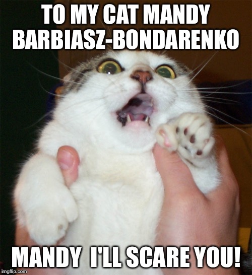 TO MY CAT MANDY BARBIASZ-BONDARENKO; MANDY 
I'LL SCARE YOU! | image tagged in mandy i'll scare you | made w/ Imgflip meme maker