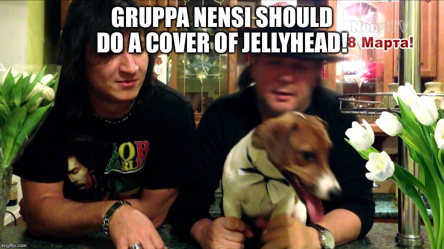 GRUPPA NENSI SHOULD DO A COVER OF JELLYHEAD! | image tagged in gruppa nensi | made w/ Imgflip meme maker