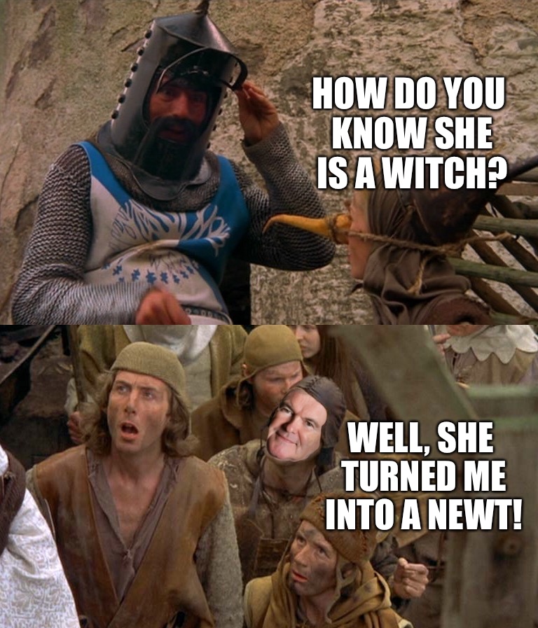 This time he's not going to get better... | HOW DO YOU KNOW SHE IS A WITCH? WELL, SHE TURNED ME INTO A NEWT! | image tagged in monty python,newt,gingrich,funny,donald trump | made w/ Imgflip meme maker