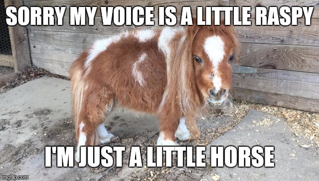 SORRY MY VOICE IS A LITTLE RASPY I'M JUST A LITTLE HORSE | made w/ Imgflip meme maker