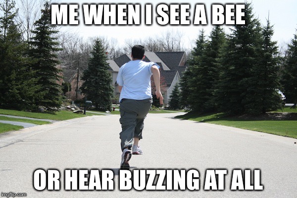 Running away | ME WHEN I SEE A BEE; OR HEAR BUZZING AT ALL | image tagged in running away | made w/ Imgflip meme maker