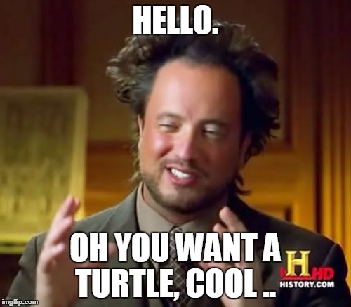 Ancient Aliens Meme | HELLO. OH YOU WANT A TURTLE, COOL .. | image tagged in memes,ancient aliens | made w/ Imgflip meme maker