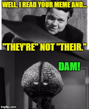 I Have A Feeling Somebody Won't Get It | WELL, I READ YOUR MEME AND... "THEY'RE" NOT "THEIR."; DAM! | image tagged in meme,grammar nazi | made w/ Imgflip meme maker