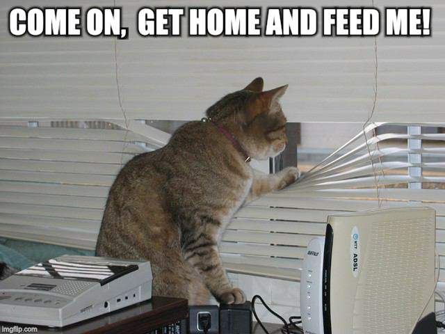 COME ON,  GET HOME AND FEED ME! | made w/ Imgflip meme maker