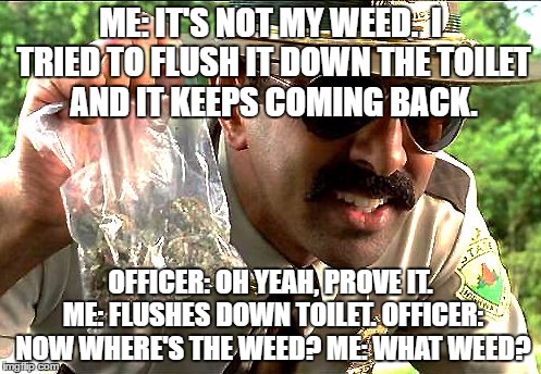 weedy cop | ME: IT'S NOT MY WEED.  I TRIED TO FLUSH IT DOWN THE TOILET AND IT KEEPS COMING BACK. OFFICER: OH YEAH, PROVE IT. ME: FLUSHES DOWN TOILET. OFFICER: NOW WHERE'S THE WEED? ME: WHAT WEED? | image tagged in weedy cop | made w/ Imgflip meme maker