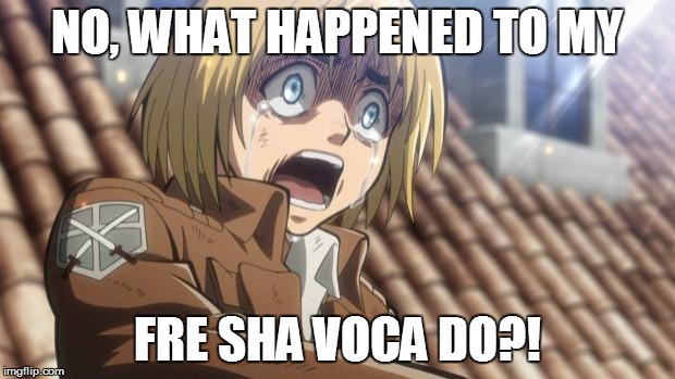 attack on titan | NO, WHAT HAPPENED TO MY; FRE SHA VOCA DO?! | image tagged in attack on titan | made w/ Imgflip meme maker