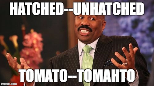 Steve Harvey Meme | HATCHED--UNHATCHED TOMATO--TOMAHTO | image tagged in memes,steve harvey | made w/ Imgflip meme maker