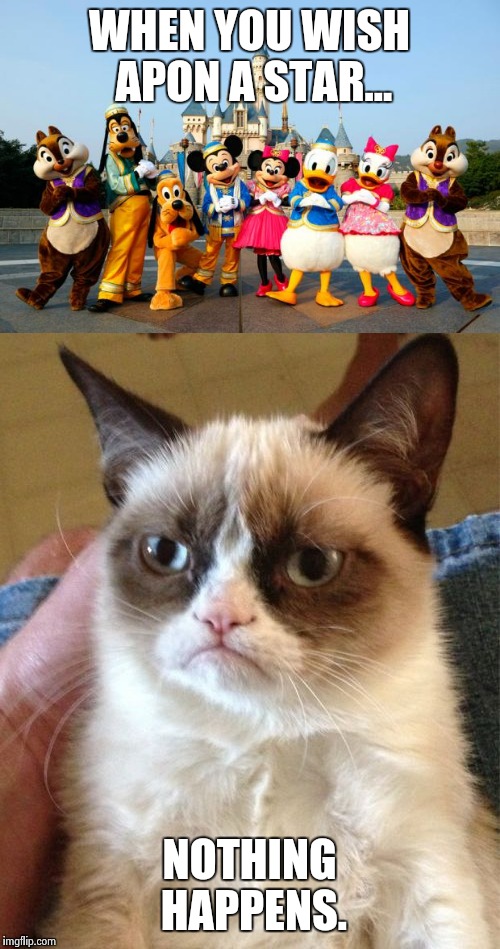 Grumpy cat at Disney world | WHEN YOU WISH APON A STAR... NOTHING HAPPENS. | image tagged in grumpy cat | made w/ Imgflip meme maker