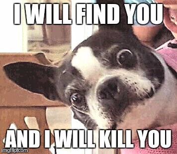 I WILL FIND YOU; AND I WILL KILL YOU | image tagged in sadie | made w/ Imgflip meme maker