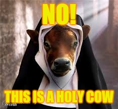 NO! THIS IS A HOLY COW | made w/ Imgflip meme maker