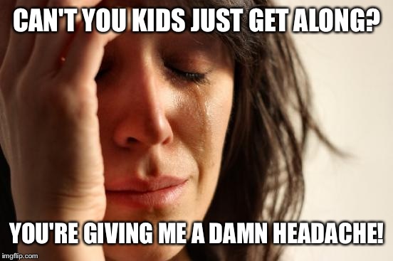 First World Problems Meme | CAN'T YOU KIDS JUST GET ALONG? YOU'RE GIVING ME A DAMN HEADACHE! | image tagged in memes,first world problems | made w/ Imgflip meme maker