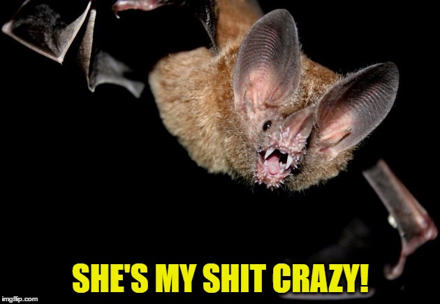 SHE'S MY SHIT CRAZY! | made w/ Imgflip meme maker