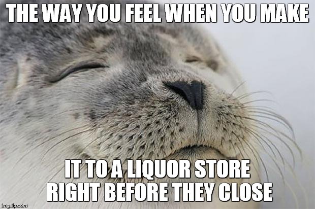 Satisfied Seal Meme | THE WAY YOU FEEL WHEN YOU MAKE; IT TO A LIQUOR STORE RIGHT BEFORE THEY CLOSE | image tagged in memes,satisfied seal | made w/ Imgflip meme maker