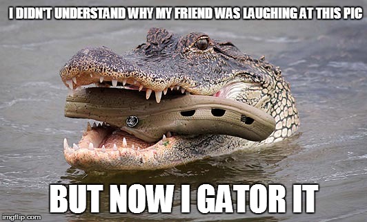 I DIDN'T UNDERSTAND WHY MY FRIEND WAS LAUGHING AT THIS PIC; BUT NOW I GATOR IT | image tagged in what a load of croc | made w/ Imgflip meme maker
