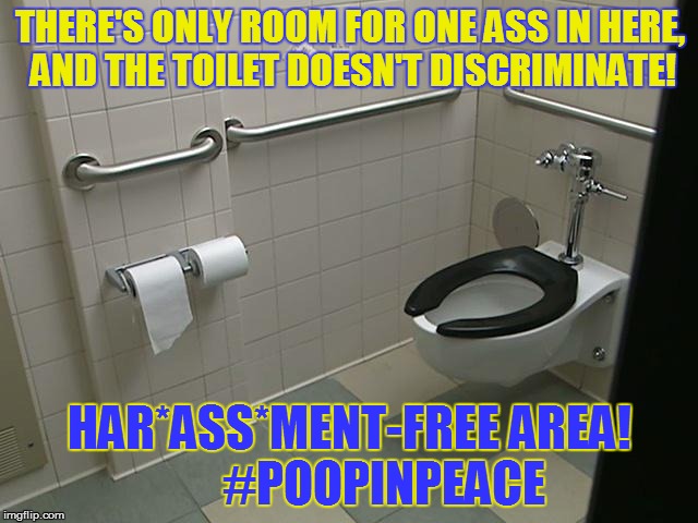 THERE'S ONLY ROOM FOR ONE ASS IN HERE, AND THE TOILET DOESN'T DISCRIMINATE! HAR*ASS*MENT-FREE AREA!       #POOPINPEACE | image tagged in transgender,transgender bathroom,gender equality | made w/ Imgflip meme maker
