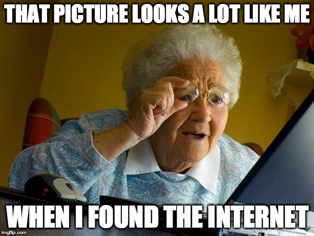 Grandma Finds The Internet | THAT PICTURE LOOKS A LOT LIKE ME; WHEN I FOUND THE INTERNET | image tagged in memes,grandma finds the internet | made w/ Imgflip meme maker
