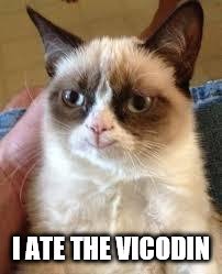 Grumpy Cat Happy Meme | I ATE THE VICODIN | image tagged in grumpy cat smile | made w/ Imgflip meme maker