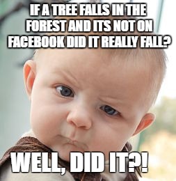 Skeptical Baby | IF A TREE FALLS IN THE FOREST AND ITS NOT ON FACEBOOK DID IT REALLY FALL? WELL, DID IT?! | image tagged in memes,skeptical baby | made w/ Imgflip meme maker