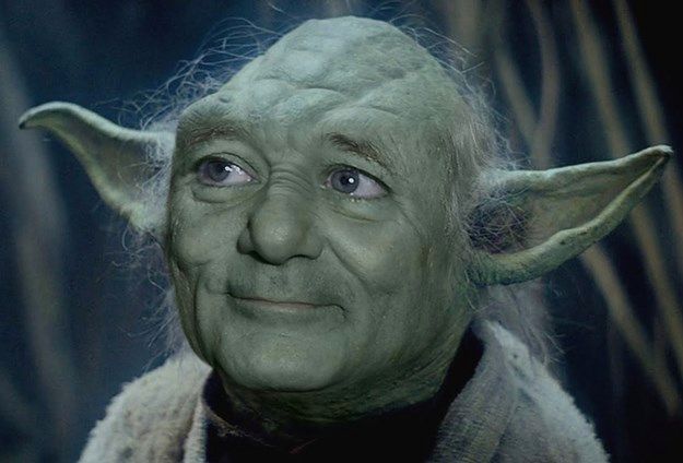 High Quality Yoda Bill Murray Blank Meme Template