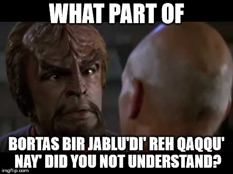 Lt. Worf | WHAT PART OF; BORTAS BIR JABLU'DI' REH QAQQU' NAY' DID YOU NOT UNDERSTAND? | image tagged in lt worf | made w/ Imgflip meme maker