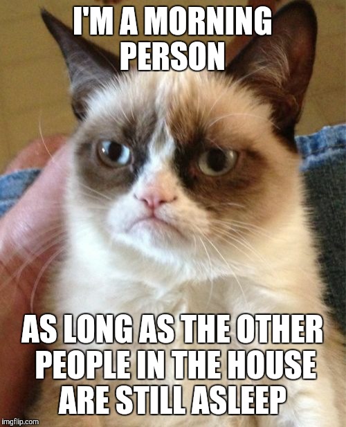 Grumpy Cat | I'M A MORNING PERSON; AS LONG AS THE OTHER PEOPLE IN THE HOUSE ARE STILL ASLEEP | image tagged in memes,grumpy cat | made w/ Imgflip meme maker