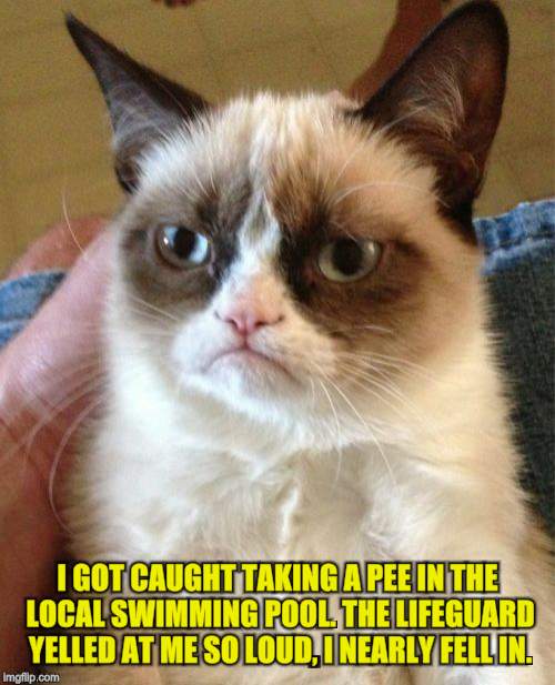 Grumpy Cat Meme | I GOT CAUGHT TAKING A PEE IN THE LOCAL SWIMMING POOL. THE LIFEGUARD YELLED AT ME SO LOUD, I NEARLY FELL IN. | image tagged in memes,grumpy cat | made w/ Imgflip meme maker