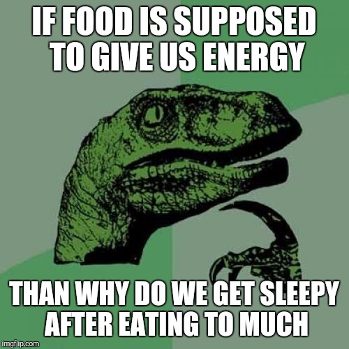 Philosoraptor | IF FOOD IS SUPPOSED TO GIVE US ENERGY; THAN WHY DO WE GET SLEEPY AFTER EATING TO MUCH | image tagged in memes,philosoraptor | made w/ Imgflip meme maker