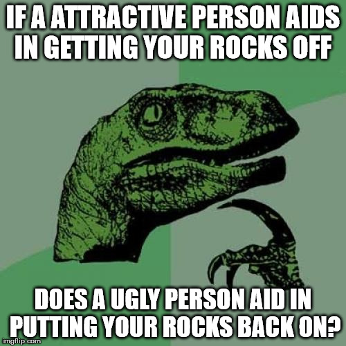 Philosoraptor | IF A ATTRACTIVE PERSON AIDS IN GETTING YOUR ROCKS OFF; DOES A UGLY PERSON AID IN PUTTING YOUR ROCKS BACK ON? | image tagged in memes,philosoraptor | made w/ Imgflip meme maker