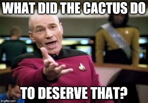 Picard Wtf Meme | WHAT DID THE CACTUS DO TO DESERVE THAT? | image tagged in memes,picard wtf | made w/ Imgflip meme maker