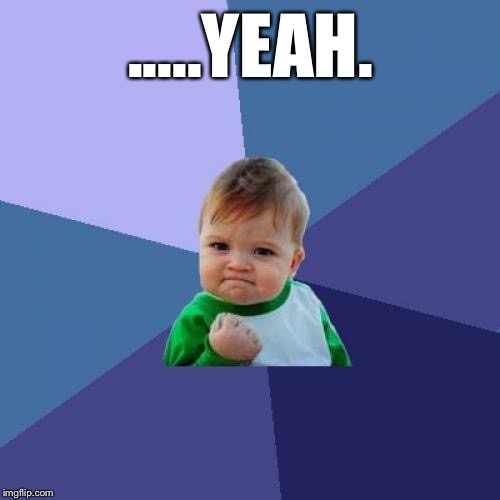 Success Kid Meme | .....YEAH. | image tagged in memes,success kid | made w/ Imgflip meme maker