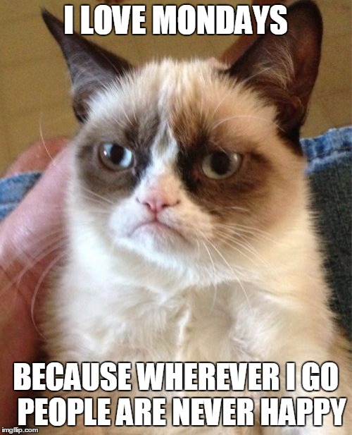 Grumpy Cat Meme | I LOVE MONDAYS BECAUSE WHEREVER I GO  PEOPLE ARE NEVER HAPPY | image tagged in memes,grumpy cat | made w/ Imgflip meme maker