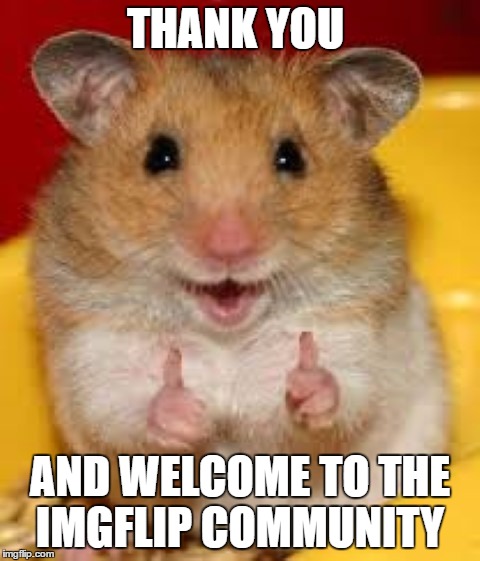 Thumbs up hamster  | THANK YOU AND WELCOME TO THE IMGFLIP COMMUNITY | image tagged in thumbs up hamster | made w/ Imgflip meme maker