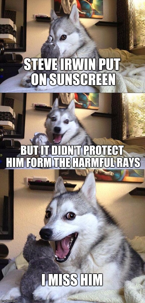 Bad Pun Dog Meme | STEVE IRWIN PUT ON SUNSCREEN; BUT IT DIDN'T PROTECT HIM FORM THE HARMFUL RAYS; I MISS HIM | image tagged in memes,bad pun dog | made w/ Imgflip meme maker